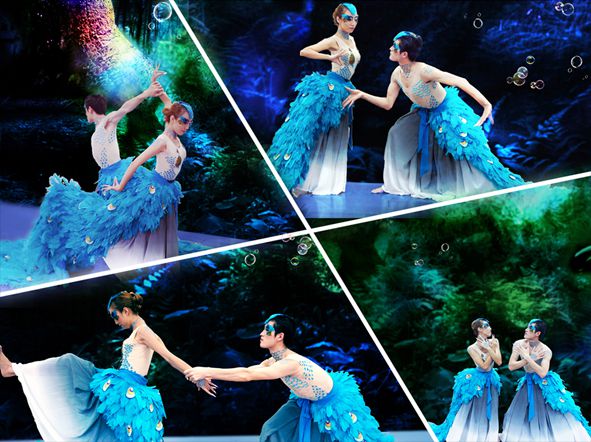 孔雀之戀2 孔雀之戀2