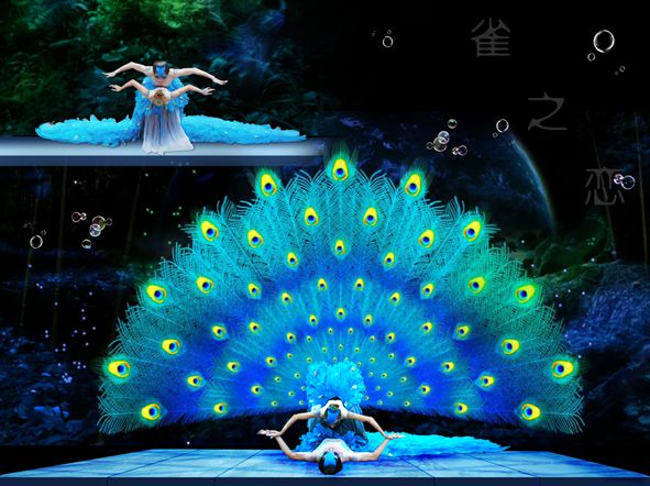 孔雀之戀1 孔雀之戀1